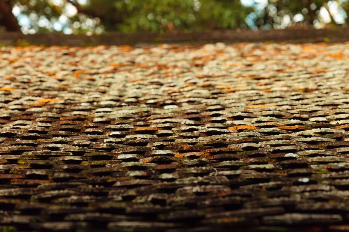 Aging shingle roof with moss growth and granule loss in Puyallup, WA
